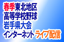 春の高校野球県大会